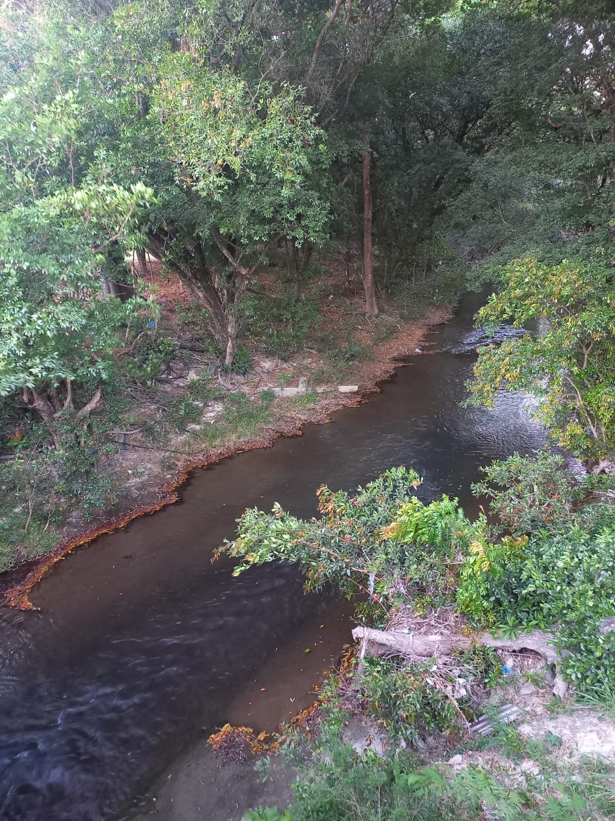 LIBERIA COMMERCIAL  LAND - Imagen ampliada 4
