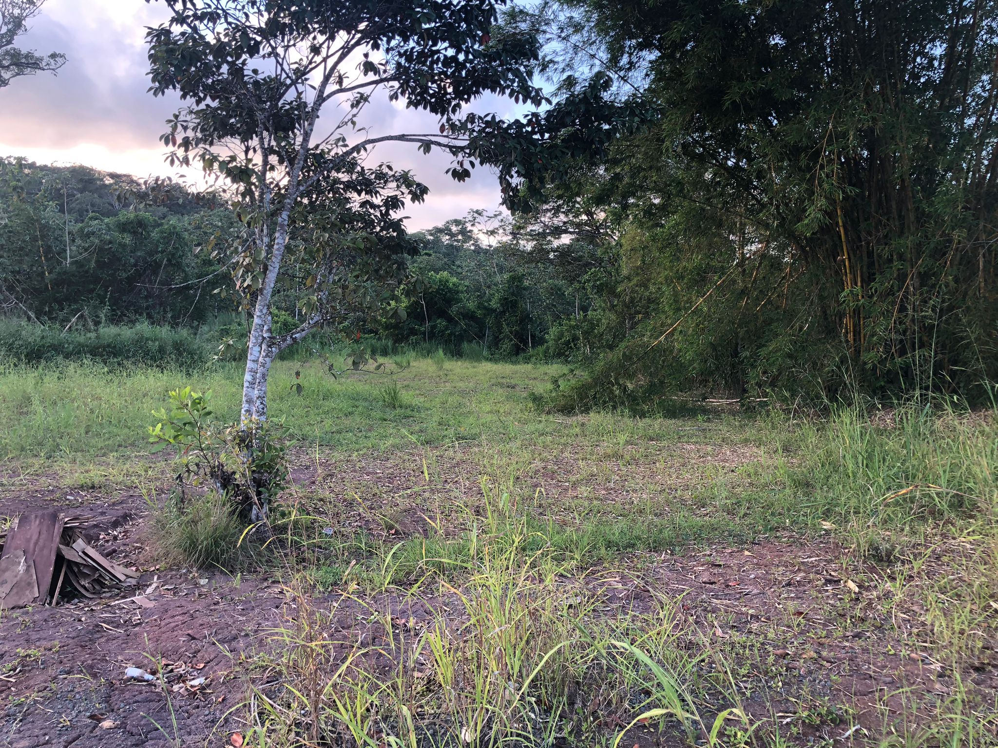 Inversión Estratégica Finca de 20500 m2 para Desarrollo Residencial en Nuevo Emperador Provincia de Panamá Oeste - Imagen ampliada 7