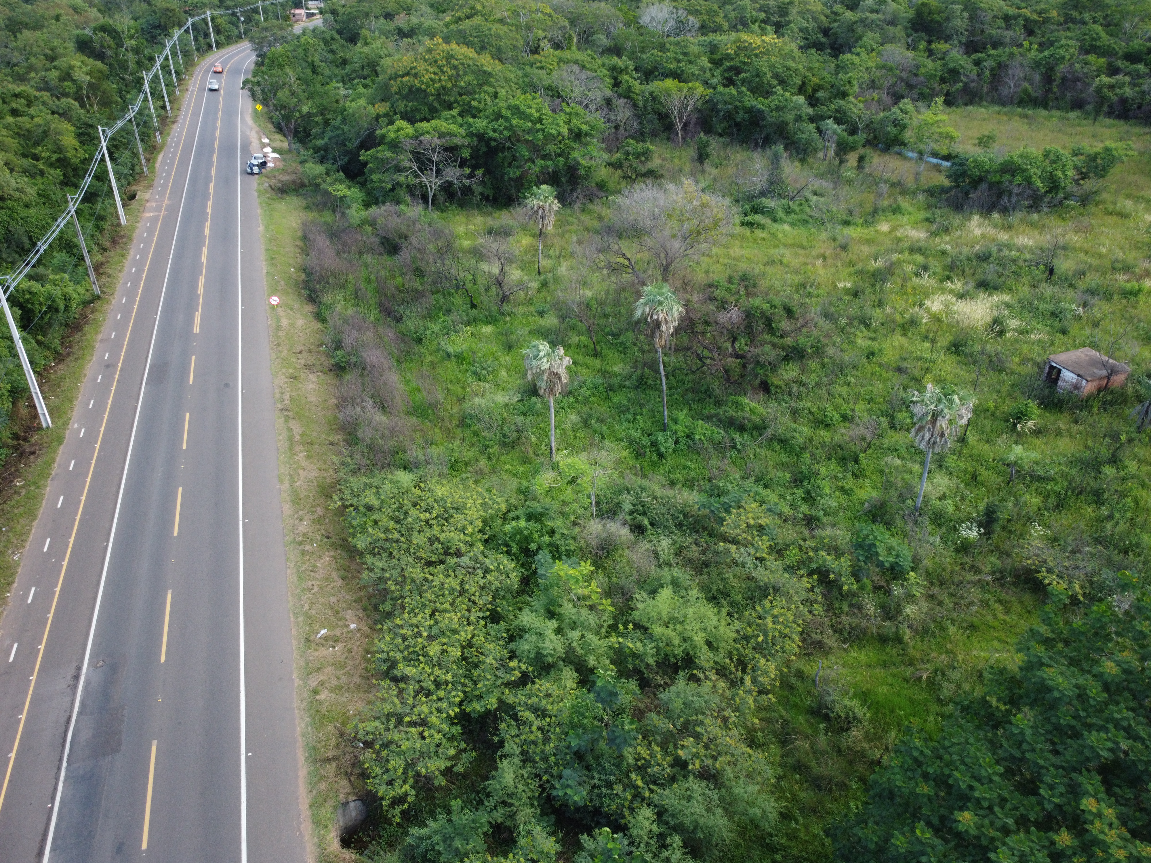 Terreno de 7 hectareas en Luque - Imagen ampliada 2