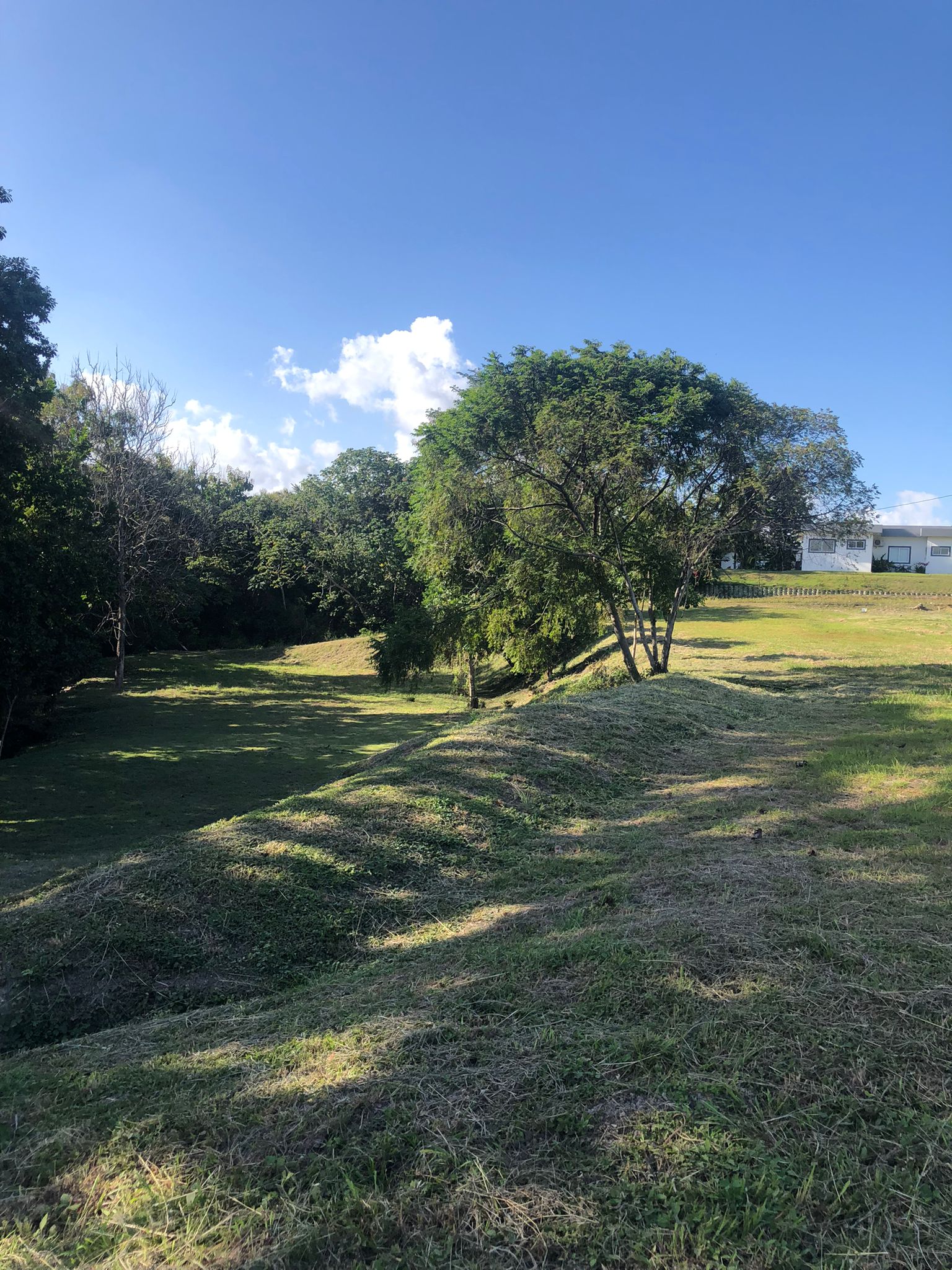 Espectacular proyecto en Santa Fe de las Lajas frente a Coronado Venta $250000 - Imagen ampliada 1