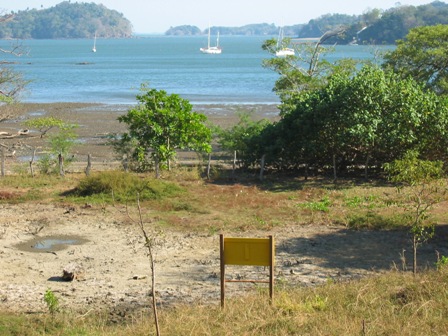 Increíble Oportunidad de Inversión en Boca Chica - Imagen ampliada 7