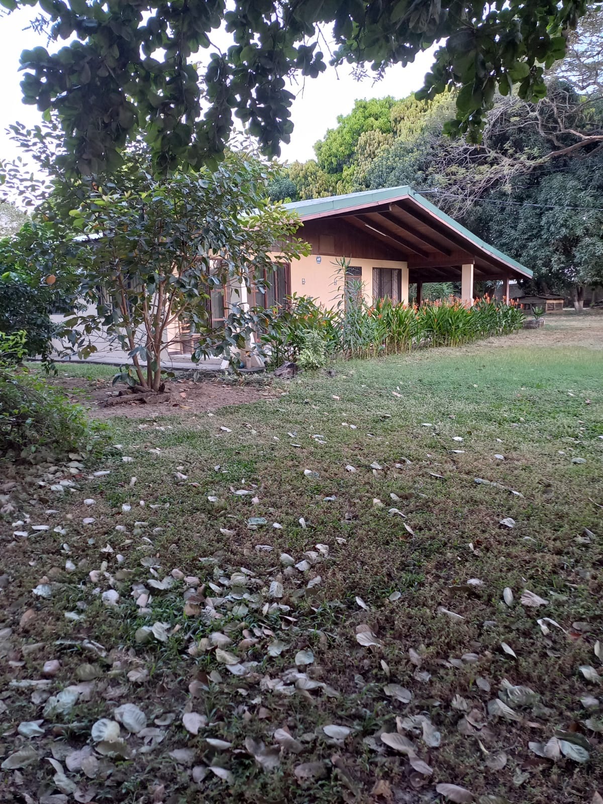LIBERIA COMMERCIAL  LAND - Imagen ampliada 15