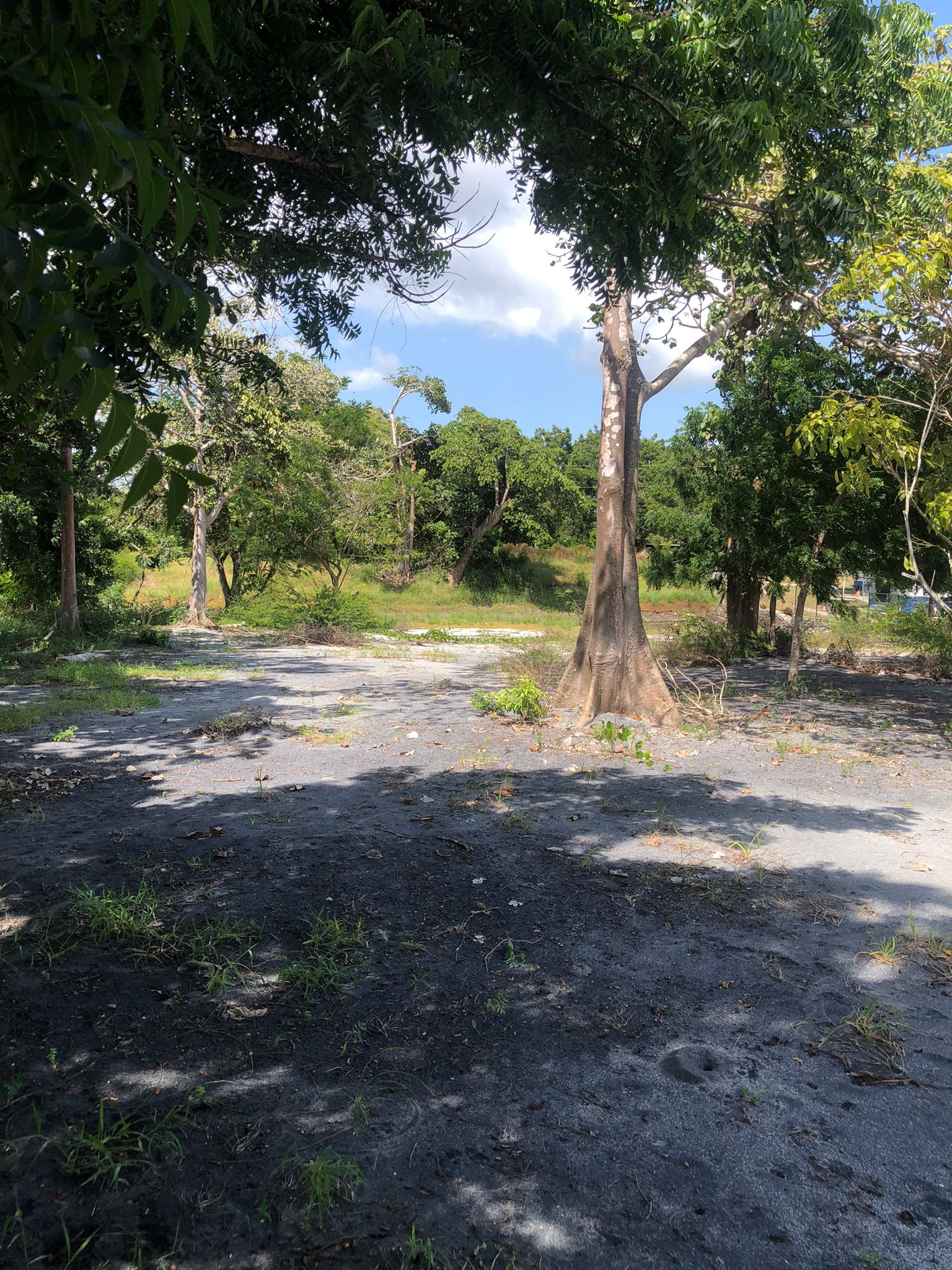 Lote Frente de Playa en Juan Hombrón Venta $680000 - Imagen ampliada 6