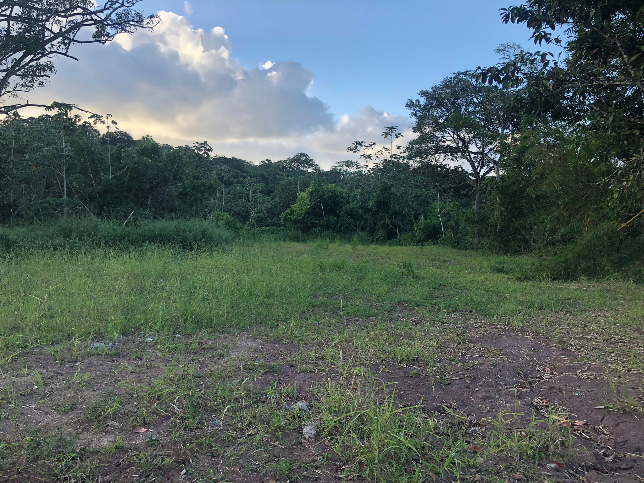 Inversión Estratégica Finca de 20500 m2 para Desarrollo Residencial en Nuevo Emperador Provincia de Panamá Oeste - Imagen ampliada 5