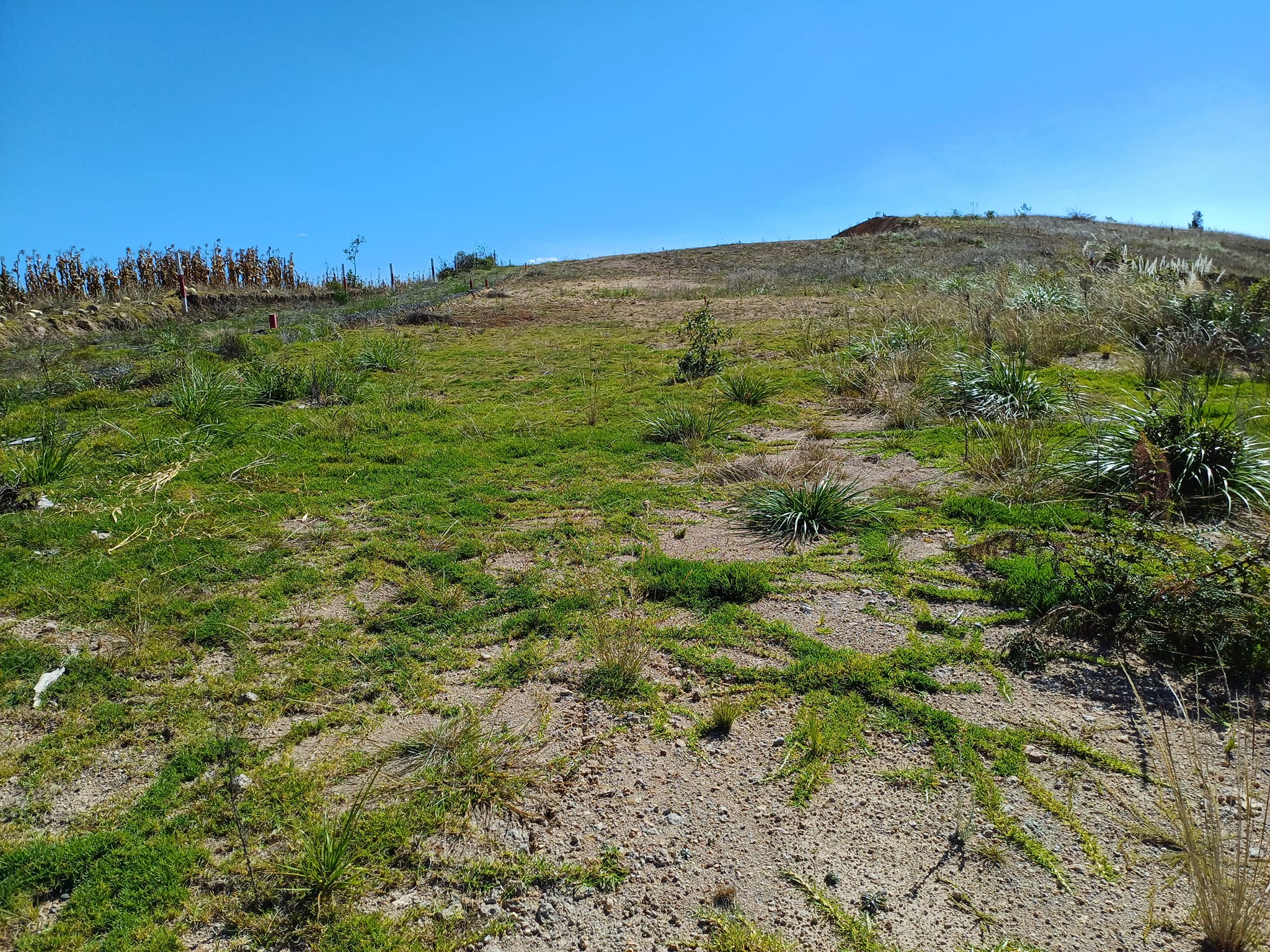 TERRENO EN VENTA Cantón Paute Parroquia San Cristobal - Imagen ampliada 1