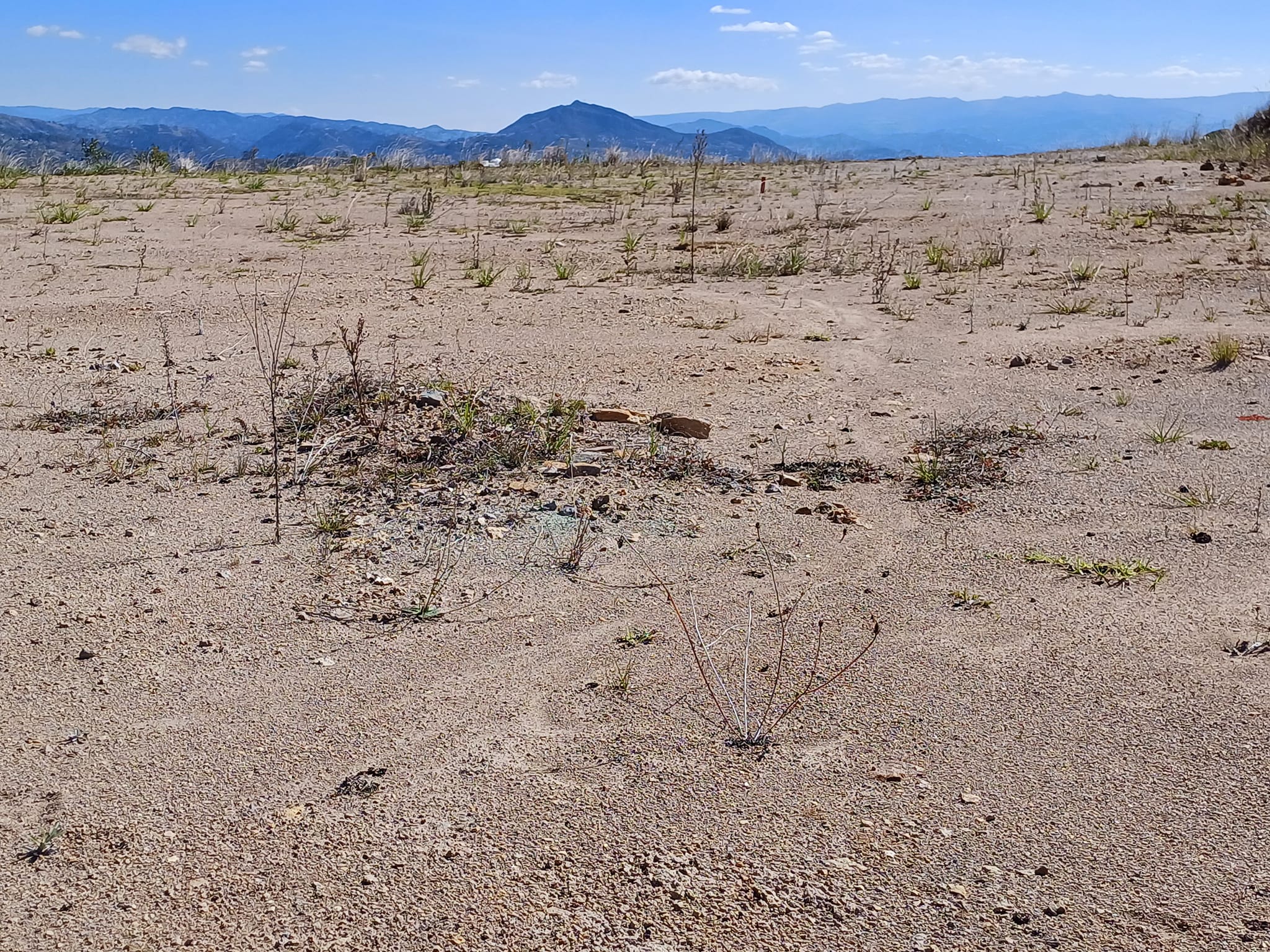 TERRENO EN VENTA Cantón Paute Parroquia San Cristobal - Imagen ampliada 7