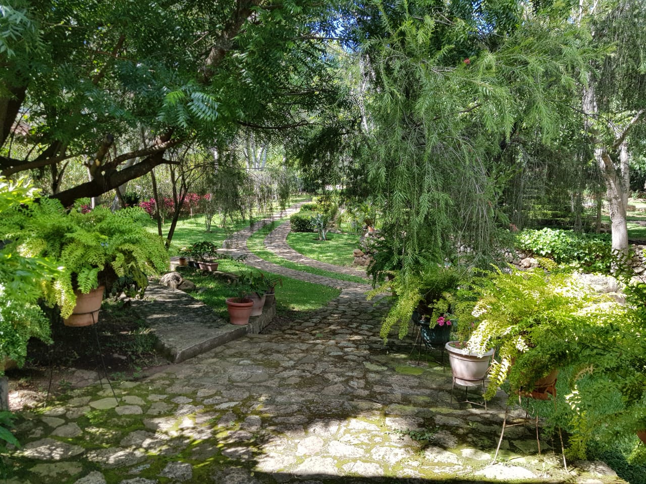 Venta casa de campo Valle zamorano - Imagen ampliada 6
