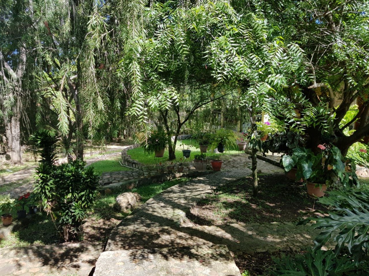 Venta casa de campo Valle zamorano - Imagen ampliada 11
