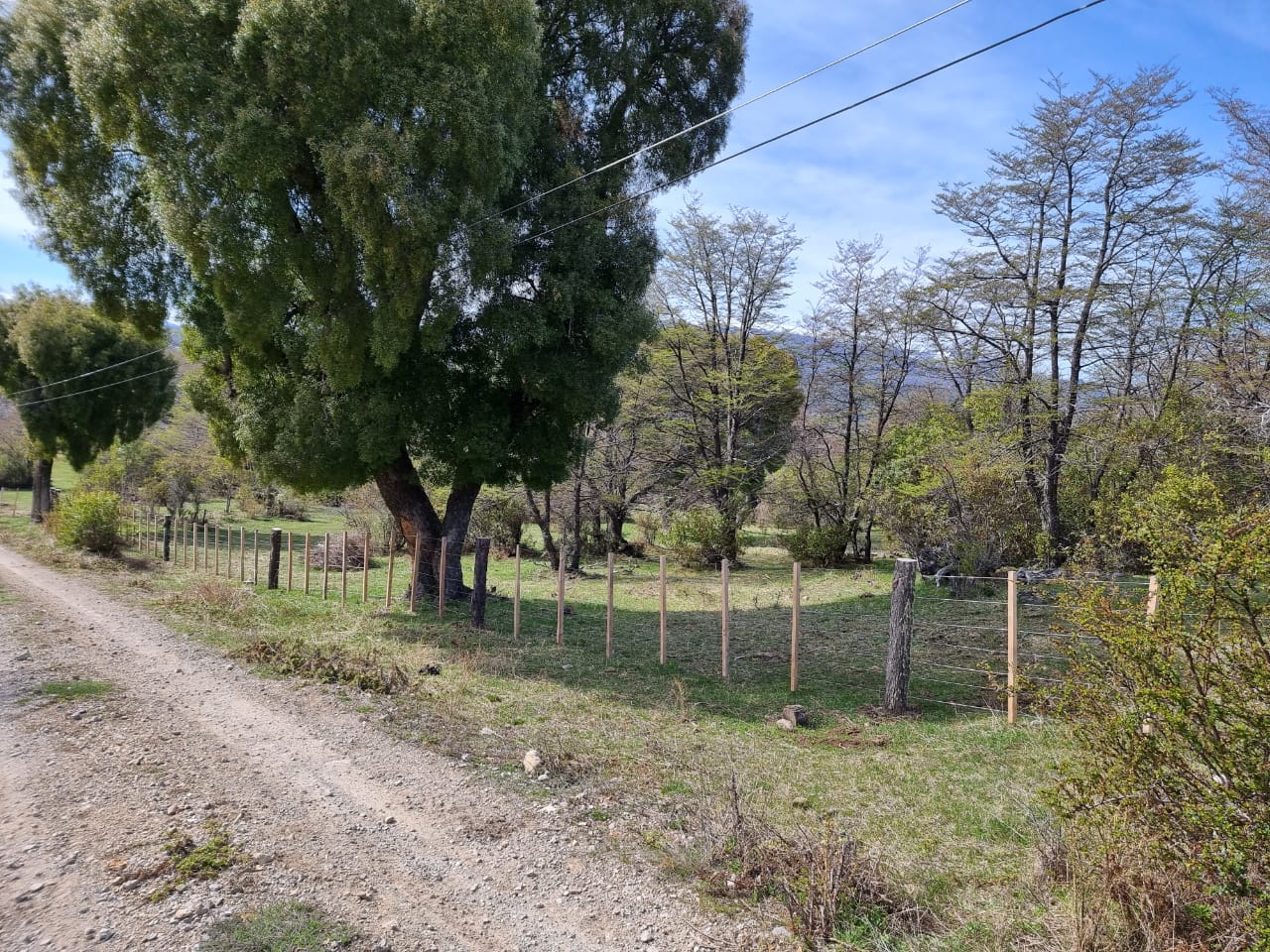 TERRENO DE 324 Has - Imagen ampliada 2