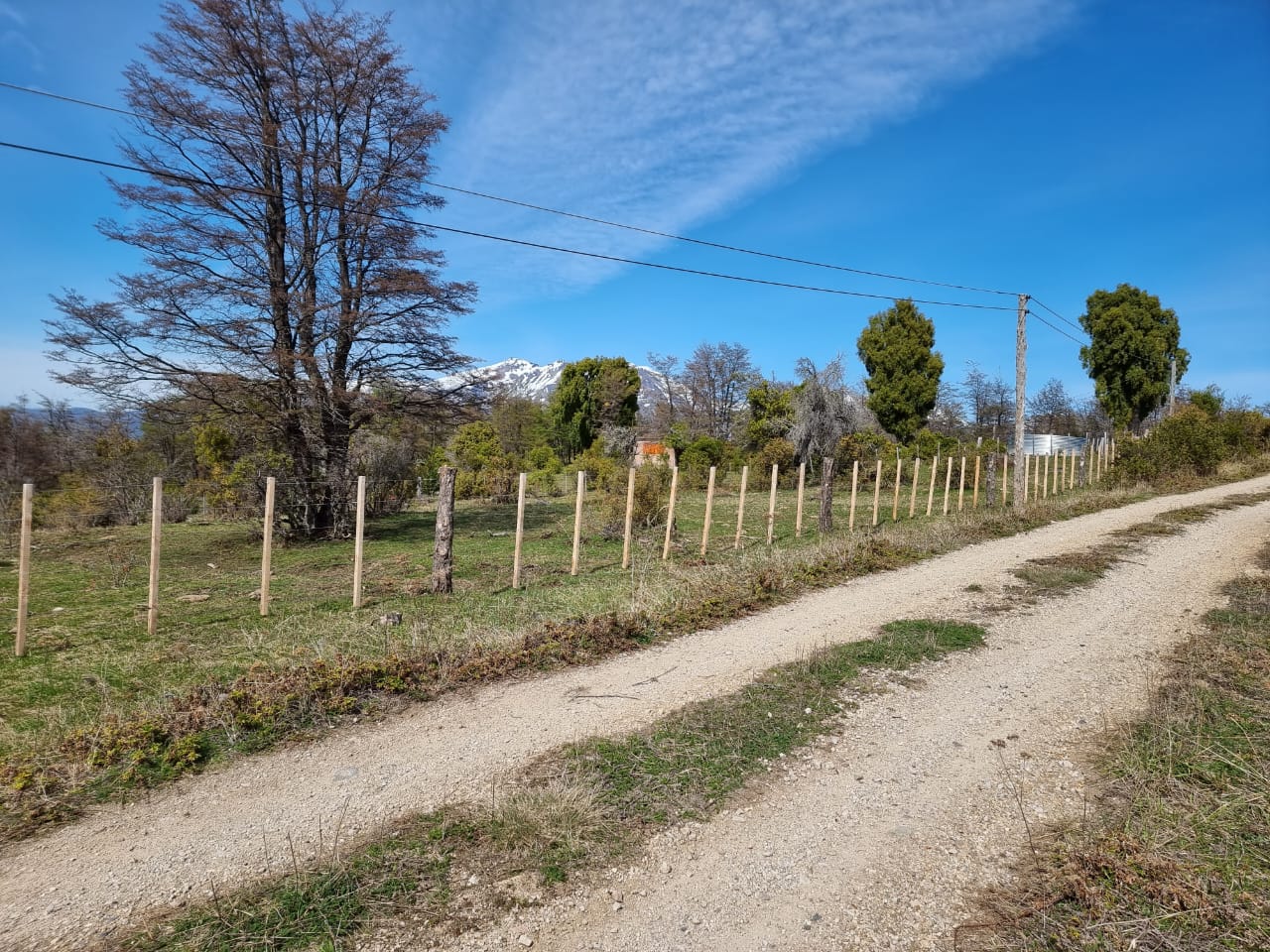 TERRENO DE 324 Has - Imagen ampliada 3