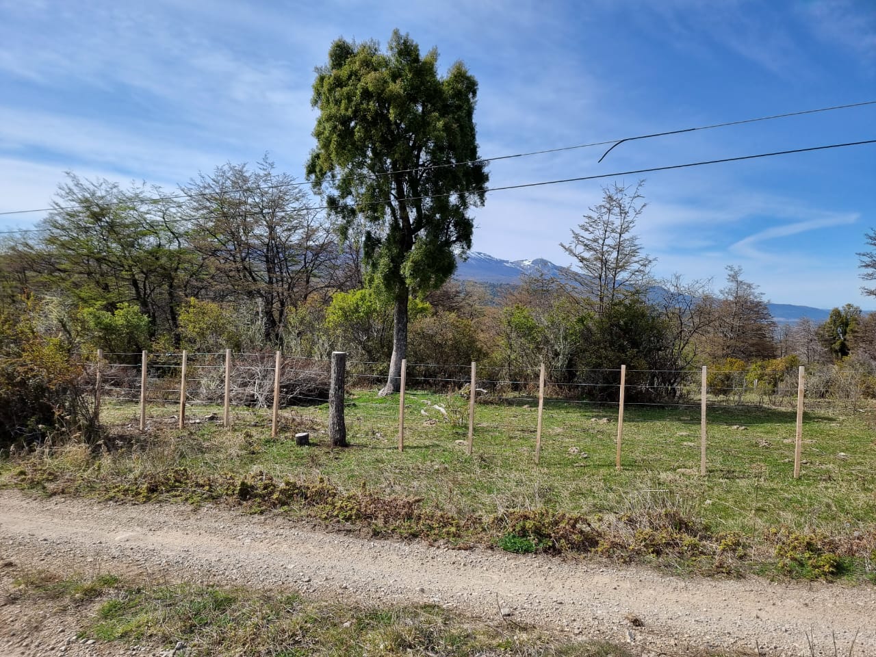 TERRENO DE 324 Has - Imagen ampliada 5