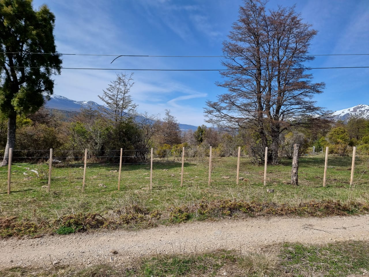 TERRENO DE 324 Has - Imagen ampliada 6