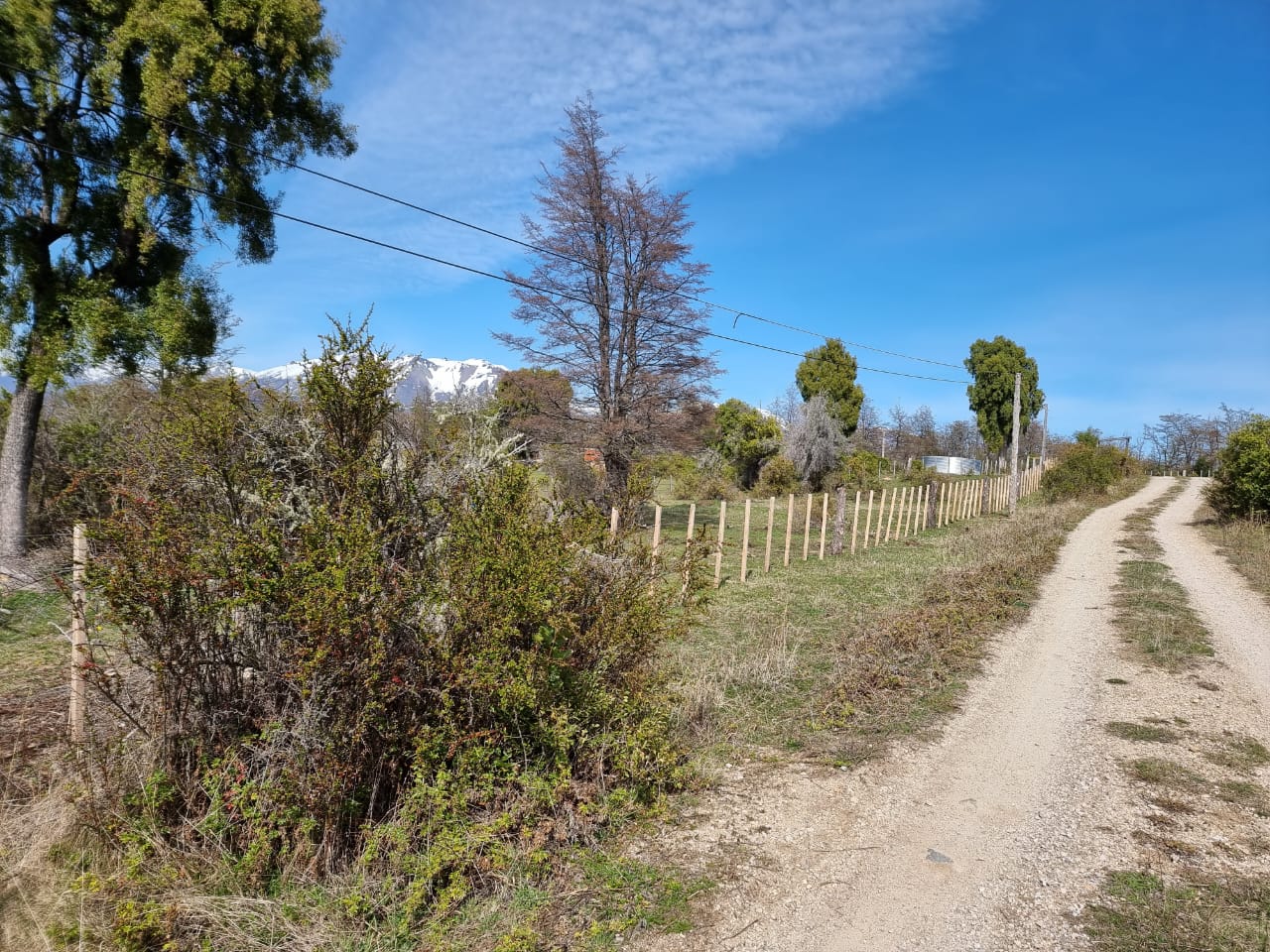 TERRENO DE 324 Has - Imagen ampliada 7