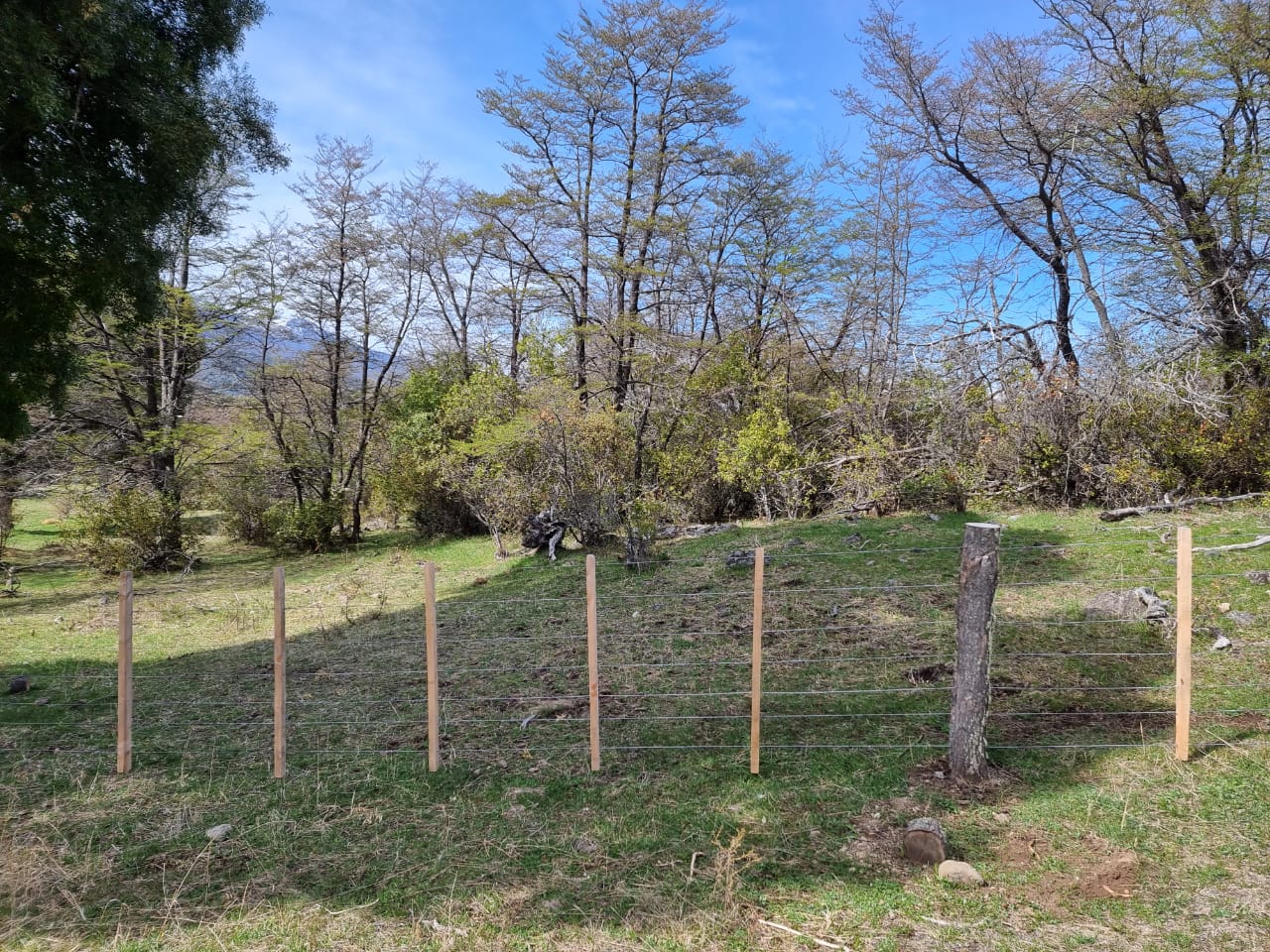 TERRENO DE 324 Has - Imagen ampliada 8