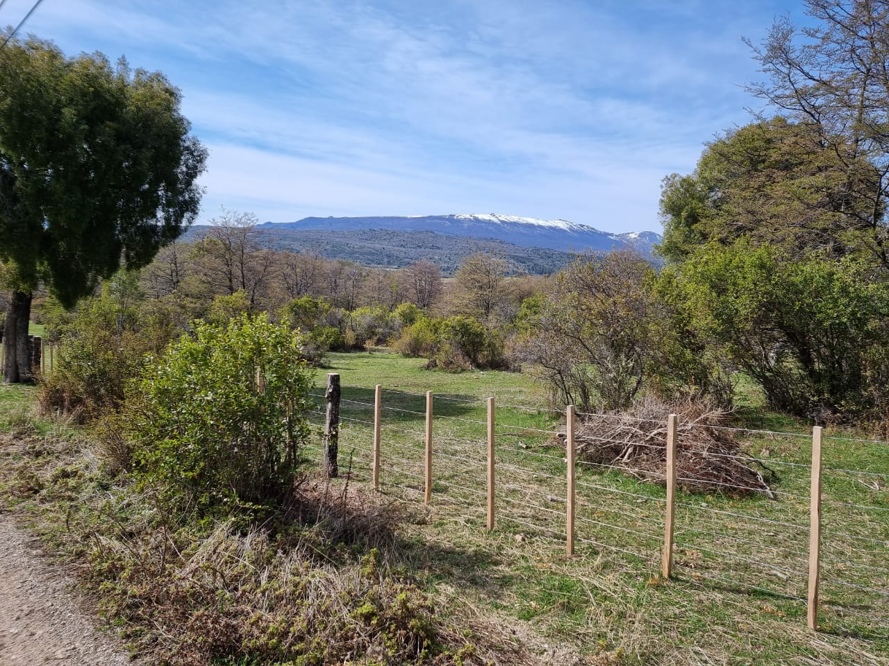 TERRENO DE 324 Has - Imagen ampliada 9