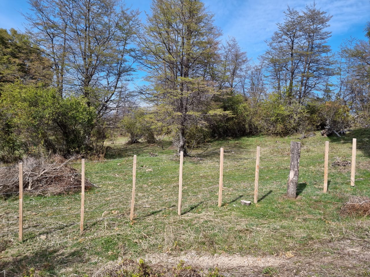 TERRENO DE 324 Has - Imagen ampliada 11