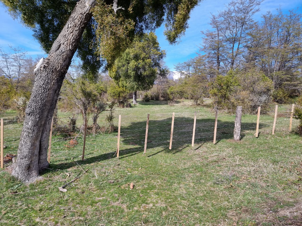 TERRENO DE 324 Has - Imagen ampliada 13
