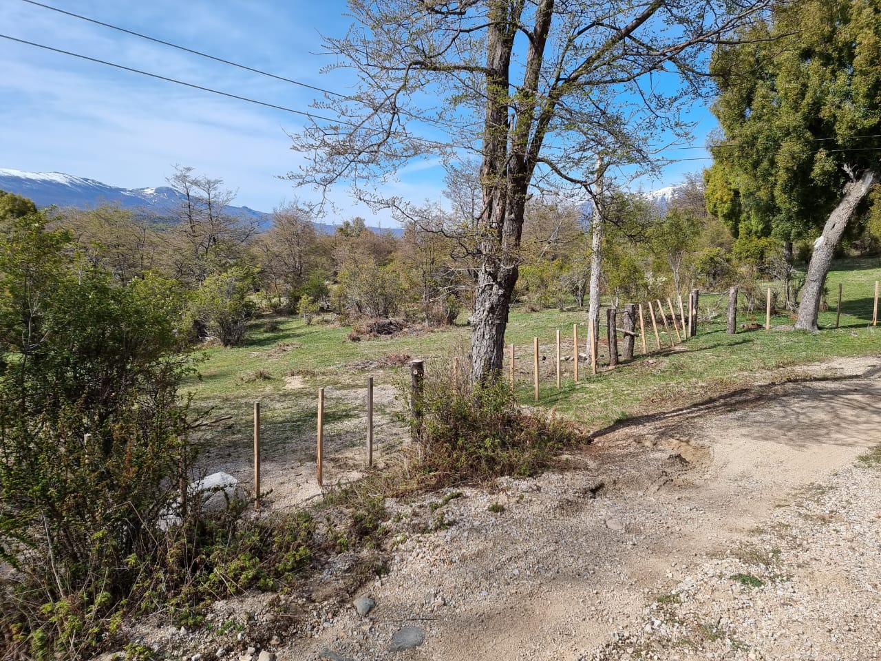 TERRENO DE 324 Has - Imagen ampliada 14