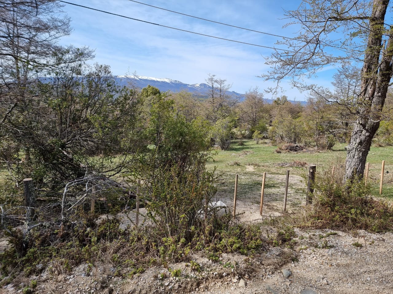 TERRENO DE 324 Has - Imagen ampliada 15