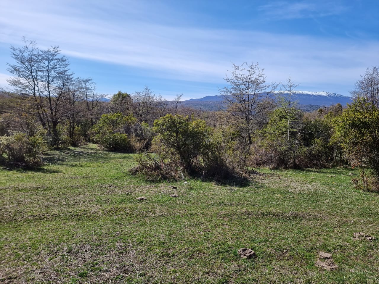 TERRENO DE 324 Has - Imagen ampliada 22