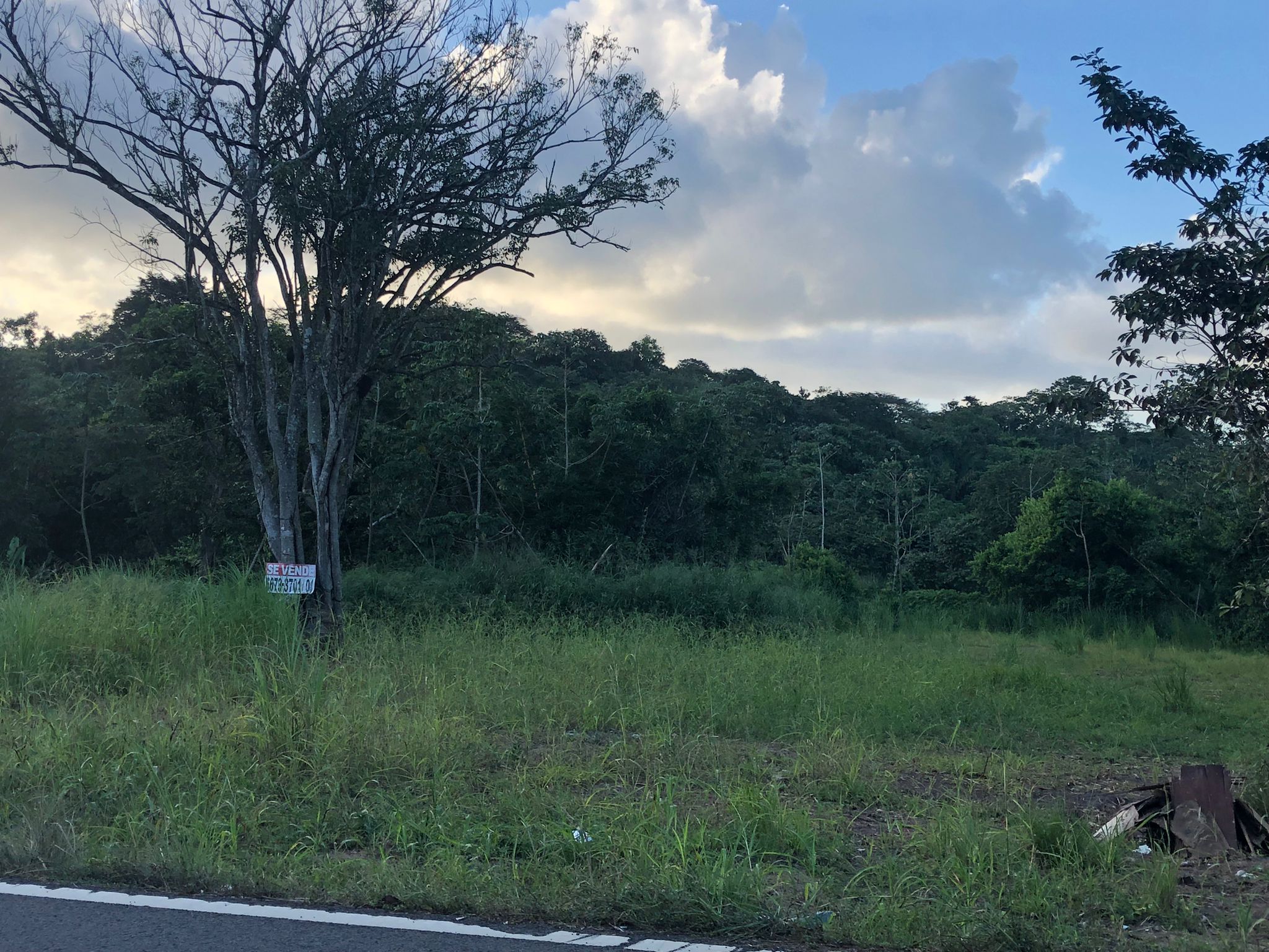 Inversión Estratégica Finca de 20500 m2 para Desarrollo Residencial en Nuevo Emperador Provincia de Panamá Oeste - Imagen ampliada 1