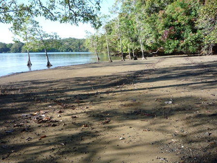 Increíble Oportunidad de Inversión en Boca Chica - Imagen ampliada 4