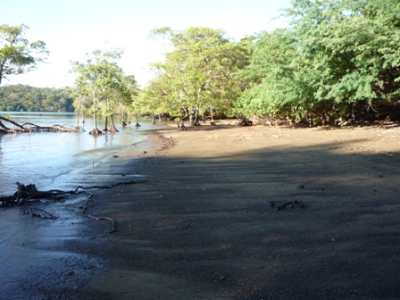 Increíble Oportunidad de Inversión en Boca Chica - Imagen ampliada 6