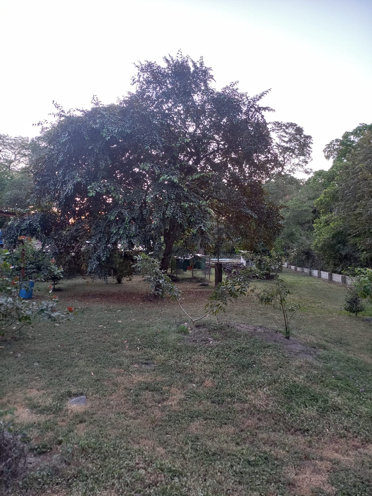 LIBERIA COMMERCIAL  LAND - Imagen ampliada 14