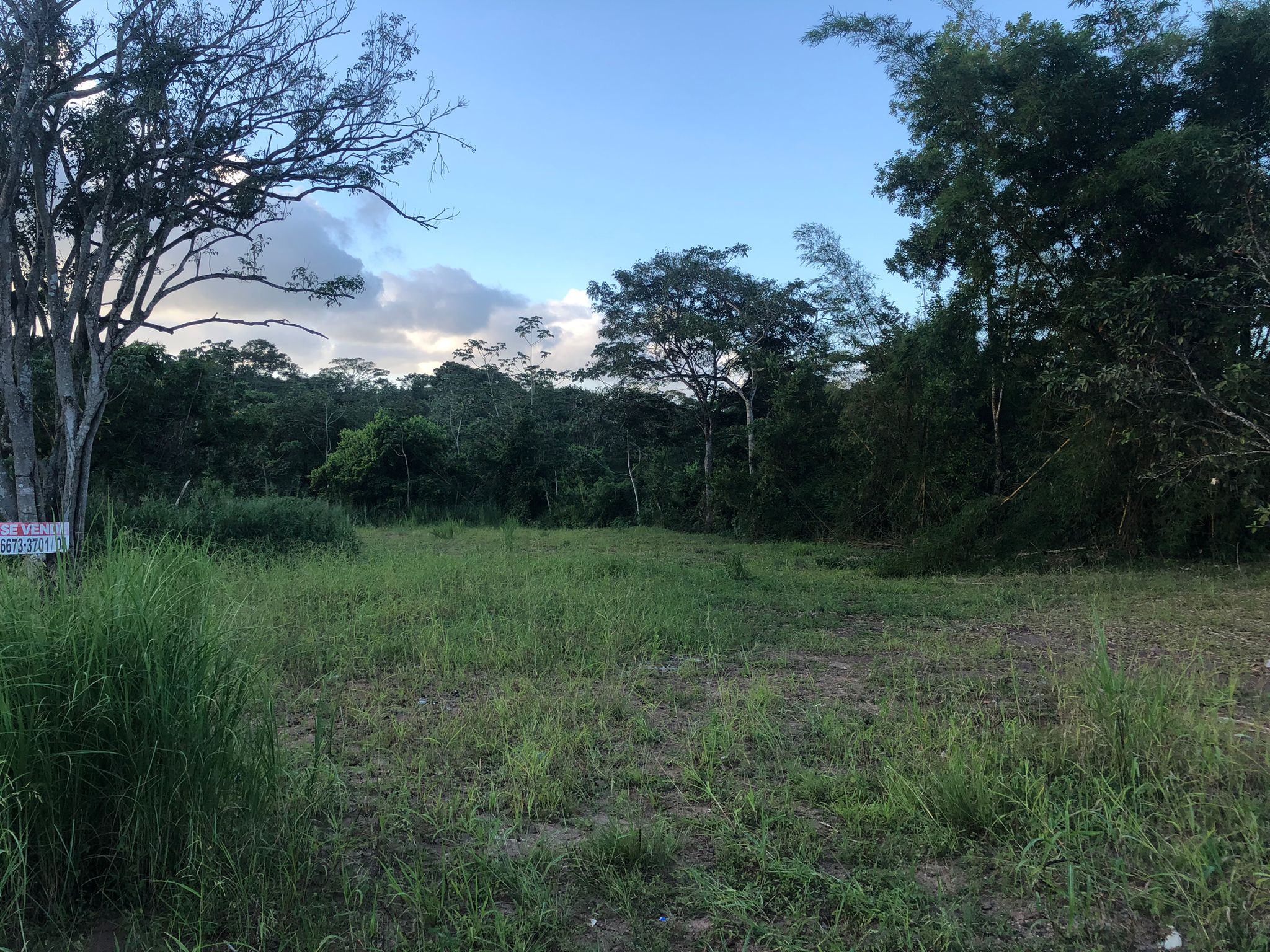 Inversión Estratégica Finca de 20500 m2 para Desarrollo Residencial en Nuevo Emperador Provincia de Panamá Oeste - Imagen ampliada 13