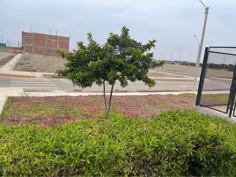 Invierte seguro HOY… o paga el doble mañana VENTA DE TERRENO EN CONDOMINIO - Imagen ampliada 13