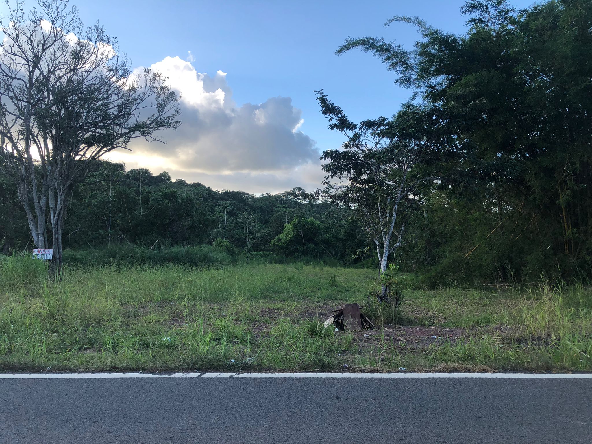 Inversión Estratégica Finca de 20500 m2 para Desarrollo Residencial en Nuevo Emperador Provincia de Panamá Oeste - Imagen ampliada 3