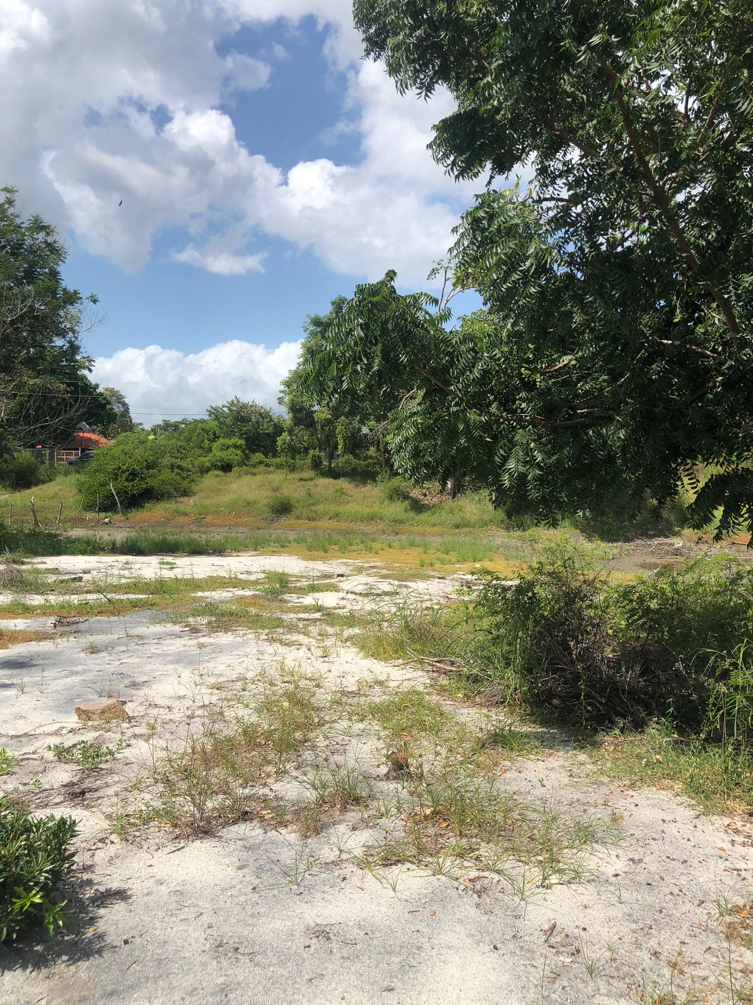 Lote Frente de Playa en Juan Hombrón Venta $680000 - Imagen ampliada 5