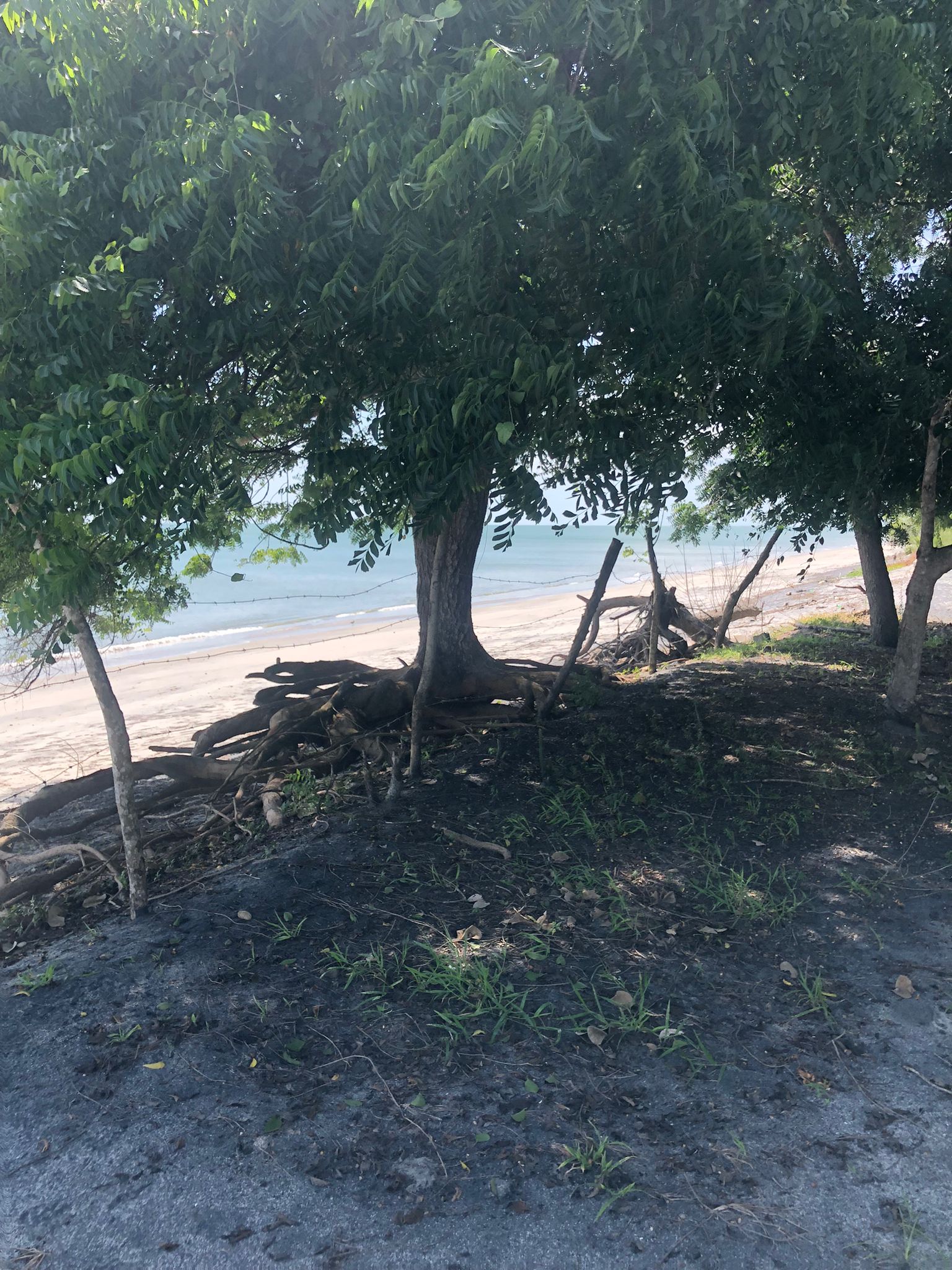 Lote Frente de Playa en Juan Hombrón Venta $680000 - Imagen ampliada 11