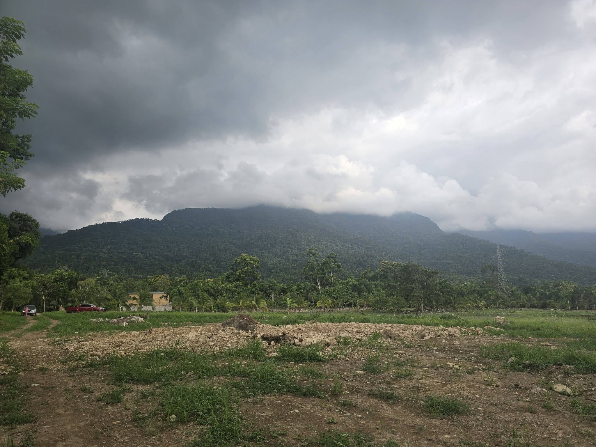 1 MANZANA Y MEDIA DE TERRENO EN VENTA EN EL PINO EL PORVENIR ATLÁNTIDA HONDURAS - Imagen ampliada 1