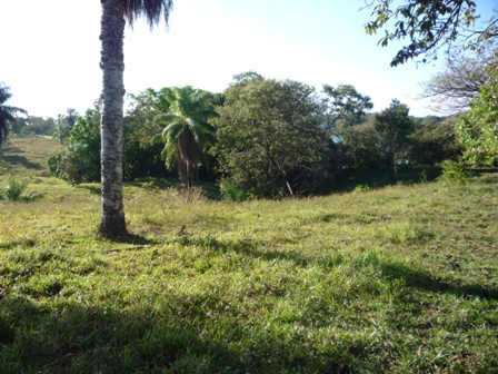 Increíble Oportunidad de Inversión en Boca Chica - Imagen ampliada 10