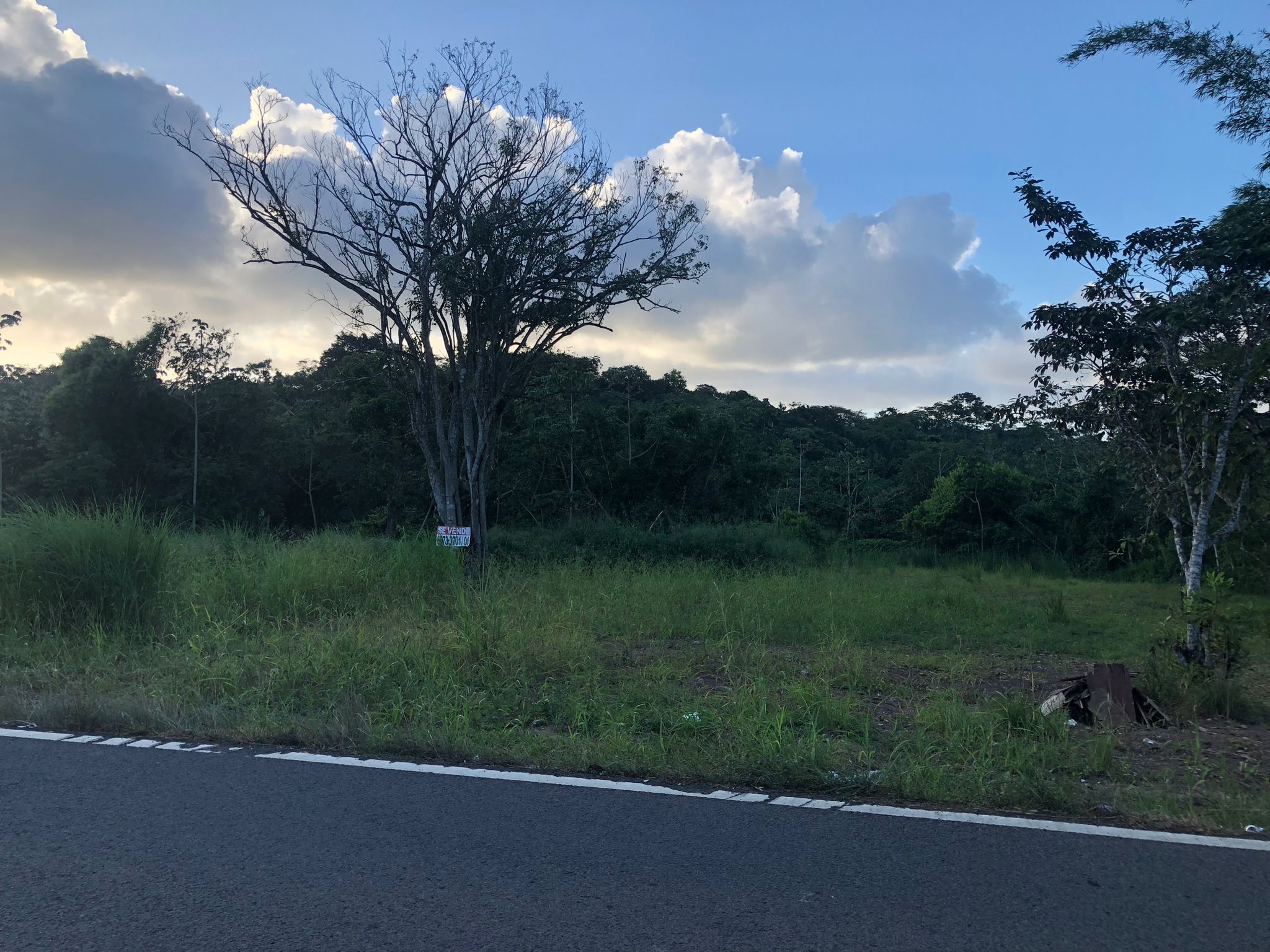 Inversión Estratégica Finca de 20500 m2 para Desarrollo Residencial en Nuevo Emperador Provincia de Panamá Oeste - Imagen ampliada 4