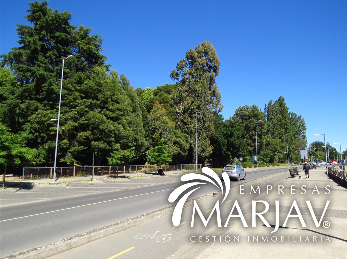 Propiedad urbana Sur de Chile Villarrica - Imagen ampliada 9