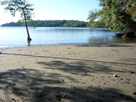 Increíble Oportunidad de Inversión en Boca Chica - Imagen ampliada 2