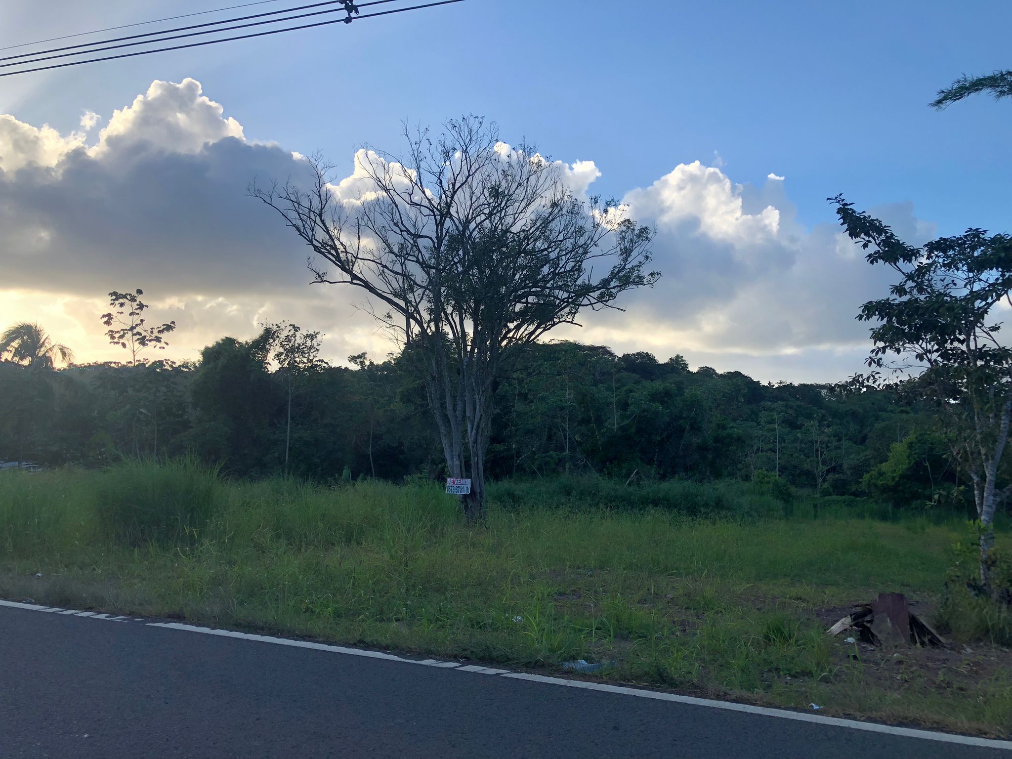 Inversión Estratégica Finca de 20500 m2 para Desarrollo Residencial en Nuevo Emperador Provincia de Panamá Oeste - Imagen ampliada 2
