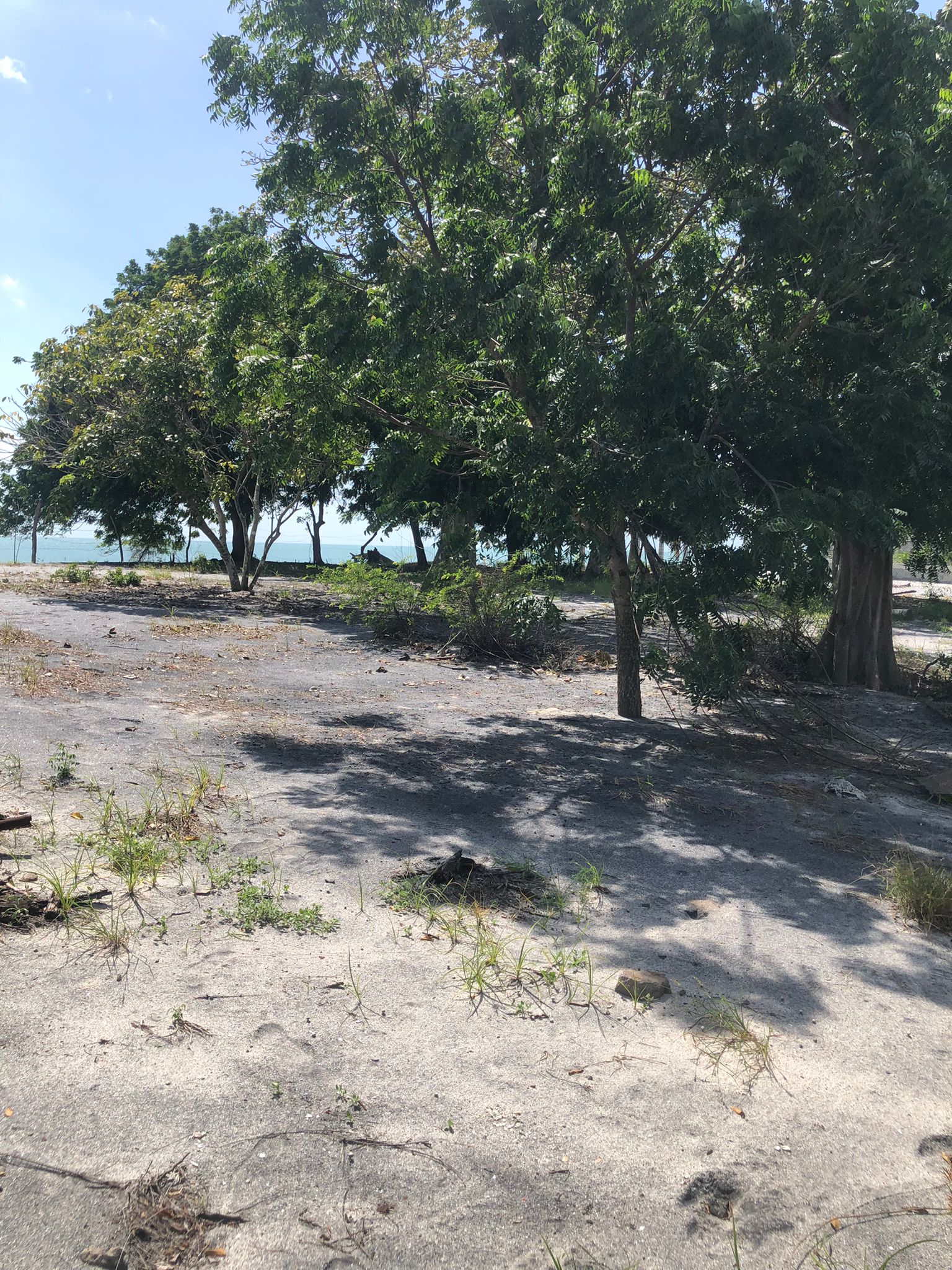 Lote Frente de Playa en Juan Hombrón Venta $680000 - Imagen ampliada 3
