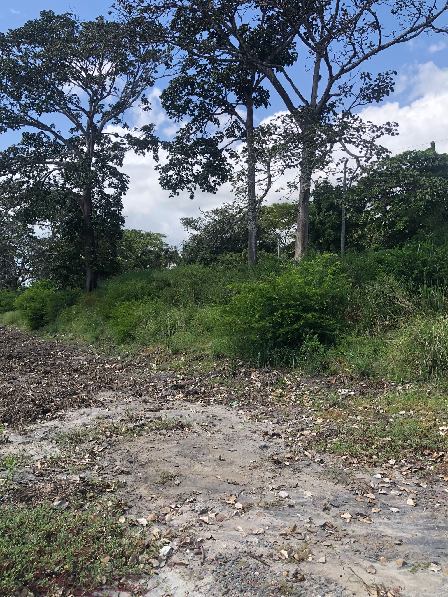 Lote Frente de Playa en Juan Hombrón Venta $680000 - Imagen ampliada 17