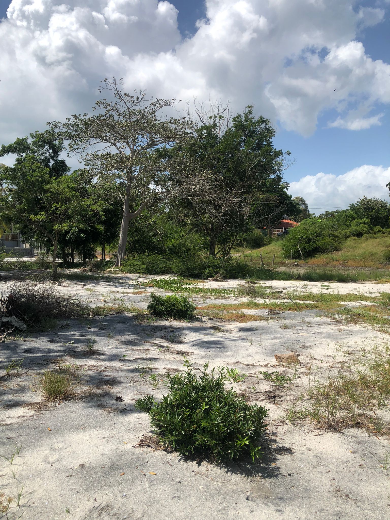 Lote Frente de Playa en Juan Hombrón Venta $680000 - Imagen ampliada 4