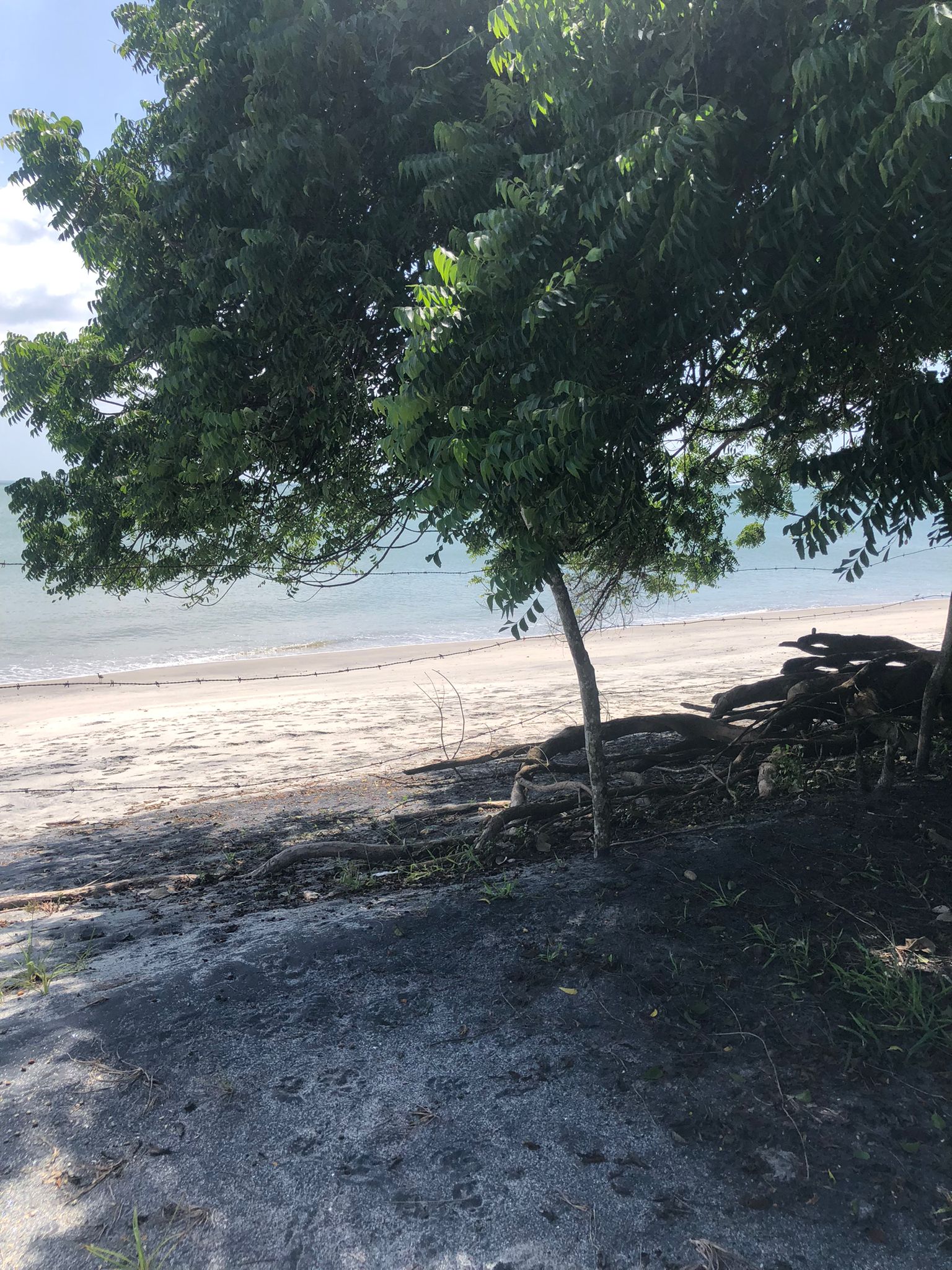 Lote Frente de Playa en Juan Hombrón Venta $680000 - Imagen ampliada 12