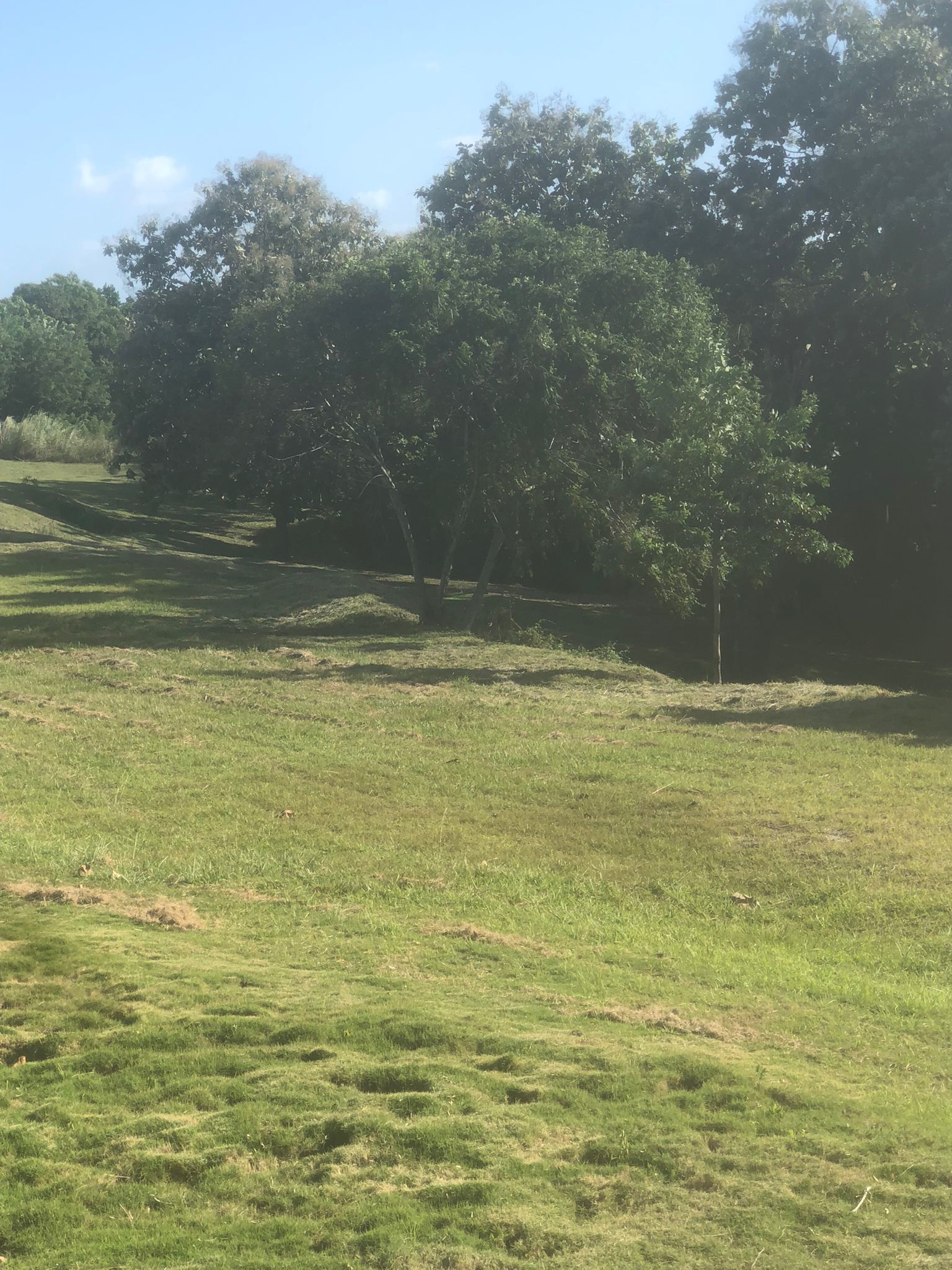 Espectacular proyecto en Santa Fe de las Lajas frente a Coronado Venta $250000 - Imagen ampliada 9
