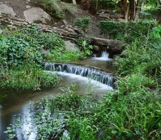 VENTA COMPLEJO SAN JAVIER FUNCIONANDO CORDOBA TRASLASIERRAS - Imagen ampliada 18