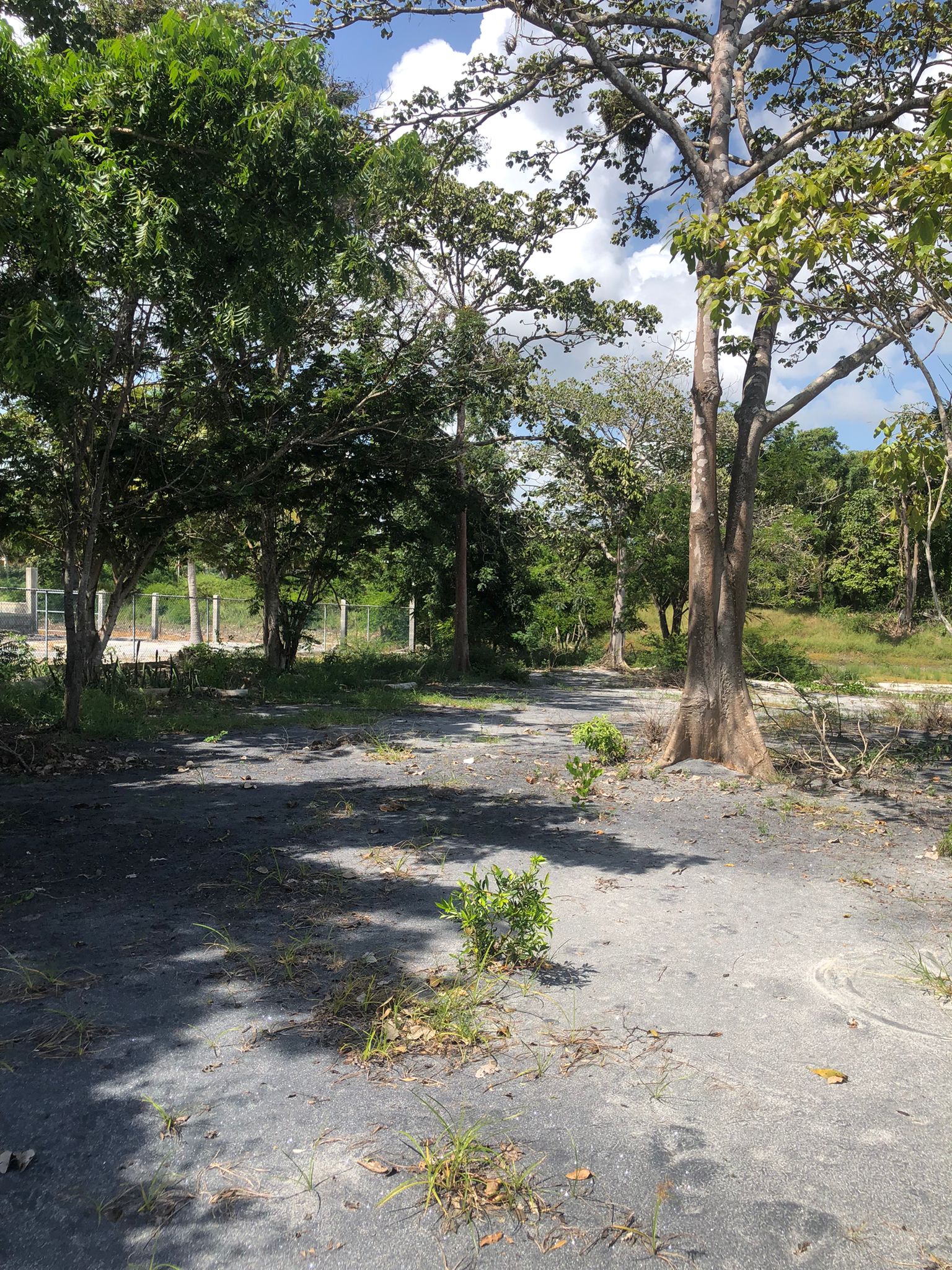 Lote Frente de Playa en Juan Hombrón Venta $680000 - Imagen ampliada 10