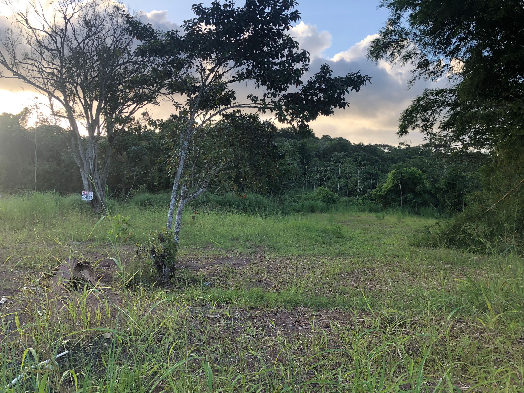 Inversión Estratégica Finca de 20500 m2 para Desarrollo Residencial en Nuevo Emperador Provincia de Panamá Oeste - Imagen ampliada 11