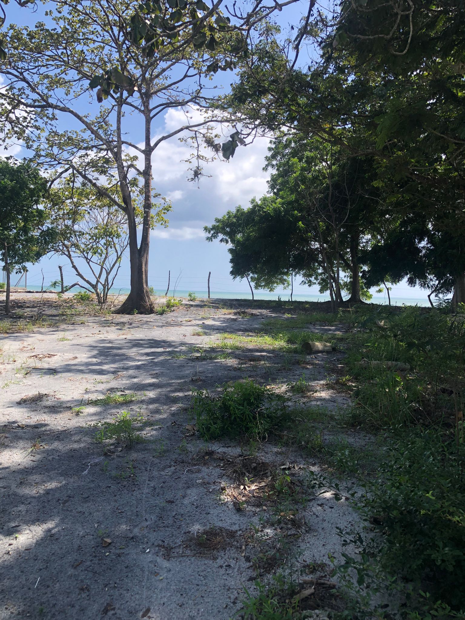 Lote Frente de Playa en Juan Hombrón Venta $680000 - Imagen ampliada 15