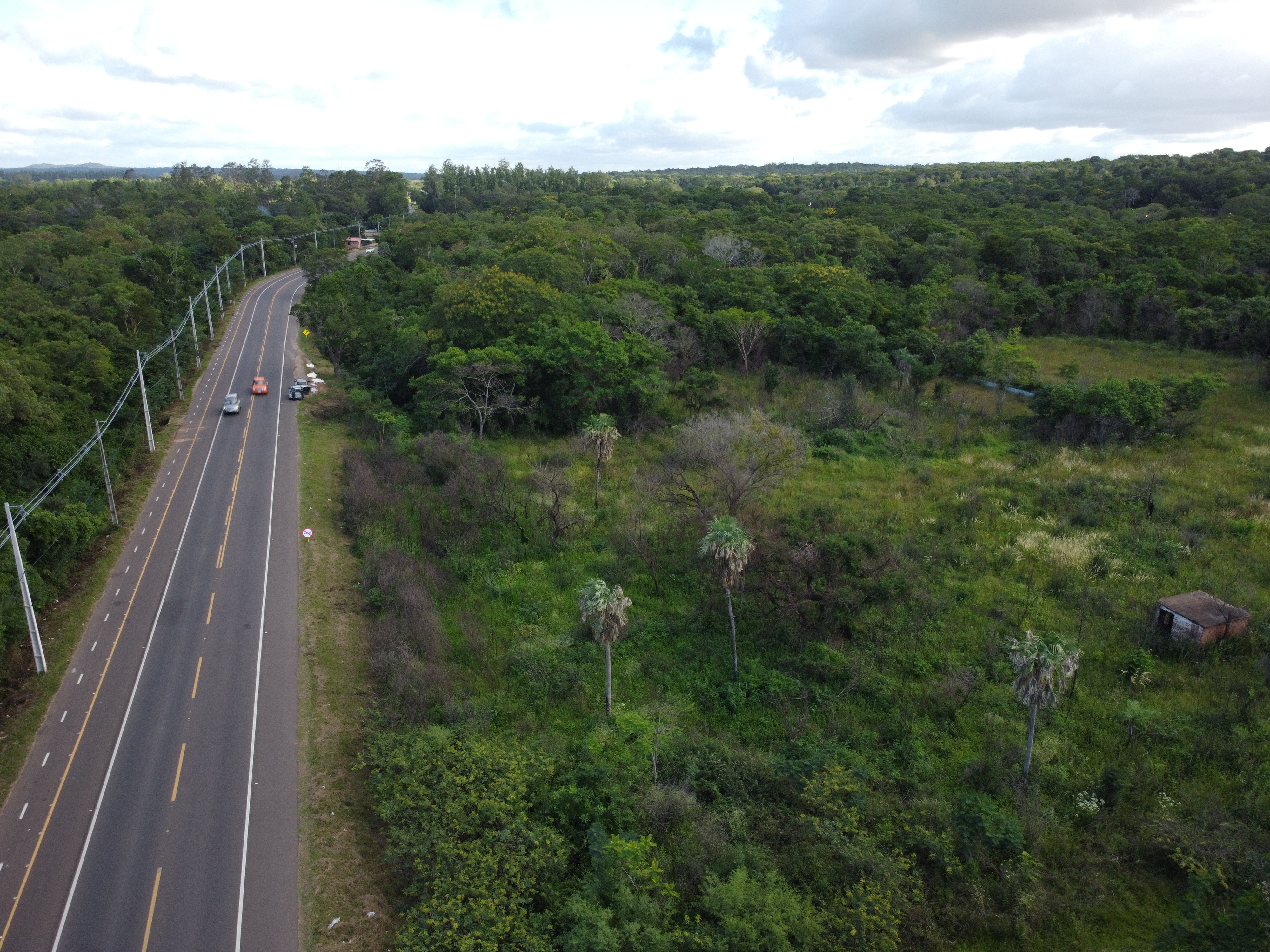 Terreno de 7 hectareas en Luque - Plano 1