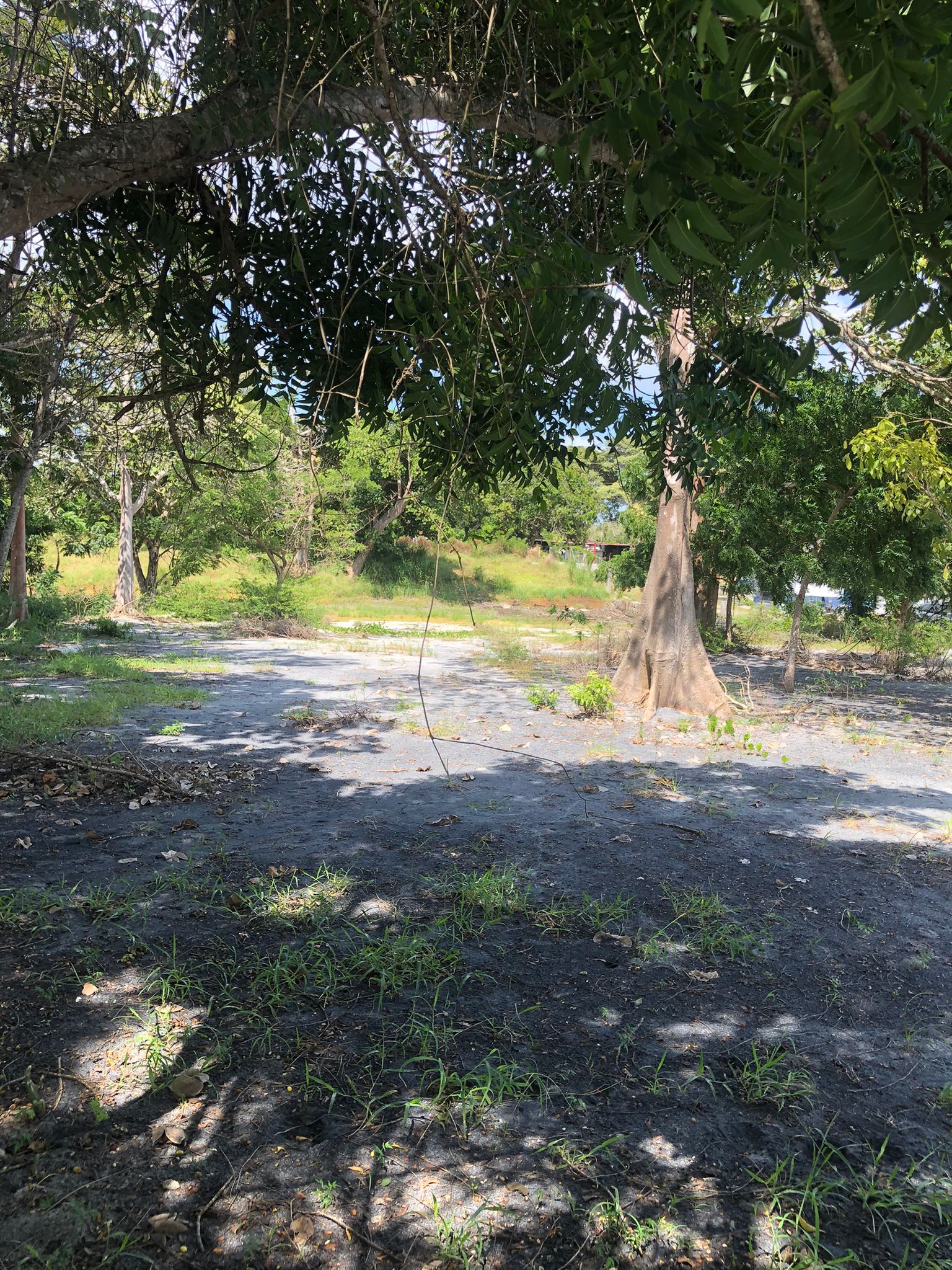 Lote Frente de Playa en Juan Hombrón Venta $680000 - Imagen ampliada 8